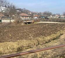 Lot de teren, Dolinnoe