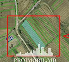 Spre vînzare se oferă teren sub construcție, situat în com. Trușeni, .