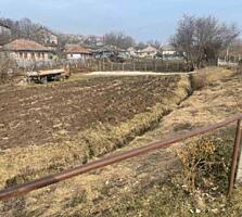 Lot de pămînt 12 ari, Dolinnoe