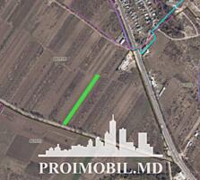 Spre vânzare se oferă teren agricol, situat în Trușeni. ...