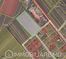 Teren agricol, loc. Pojăreni, r-nul Ialoveni Vă propunem spre vânzare 