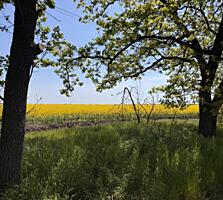 В продаже участок новой нарезки, находится в красивом месте возле ...