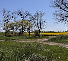 В продаже участок правильной формы, новой нарезки в селе ...