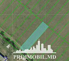 Spre vânzare se oferă teren pentru construcții, situat în Dumbrava. ..