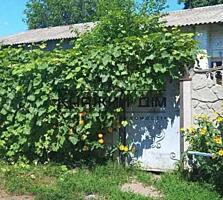 Продаж будинку 63 м.кв. 3 кімнати, туалет вана роздільна, біля ...