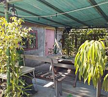 Два домика у моря