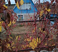 Дачный дом СОТ СОСНОВЫЙ БОР. 2х этажный! Печное отопление. С дровами.