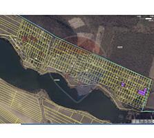 5 loturi pentru construcții vile