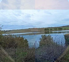 5 loturi în prima linie la iazul Cimișeni