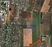 Teren agricol 40 ari Bubuieci