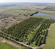 Slobozia-Dușca, Criuleni, Moldova