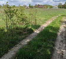 продаж ділянка сільськогосподарського призначення Броварський, Гребель