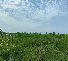 продаж ділянка сільськогосподарського призначення Бучанський, Озера, 1