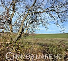 Teren agricol, com. Tohatin Vă propunem spre vânzare un teren agricol 