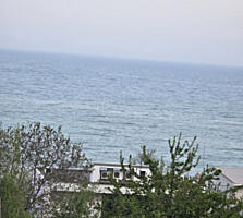 Дача Ковалевского, 5 соток.