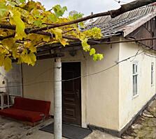 Дом в самом Центре Тирасполя, Парк &quot;Победа&quot; (видео)