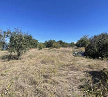 Предлагается участок - 10 соток правильной формы, в застраиваемой ...