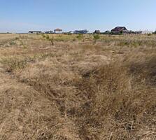 Продается земельный участок в с. Молодежное. Без застроек и ...