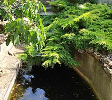 Дом в Овидиополе