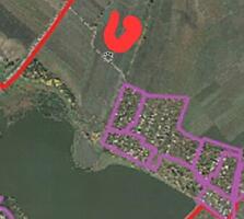 Teren agricol, com. Suruceni, r-nul Ialoveni Vă propunem spre vânzare 