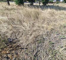 Продается земельный участок на берегу озера в селе Молодежное. ...