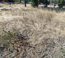 Продается земельный участок под садоводство в селе Молодежное. ...