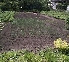 Продам фасадный участок 5,5 соток на Фонтане