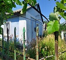 Дом в Александровке, с участком 9 соток и летней кухней