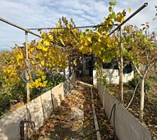 Продам дачный участок