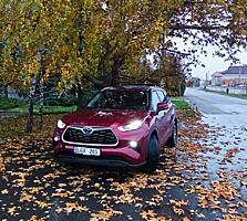 Хайлендер гибрид