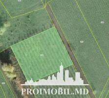 S pre vânzare se oferă teren cu destinație agricolă, situat la prima .