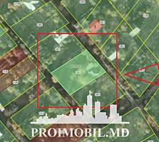 Spre vânzare se oferă lot pomicol cu construcție autorizată, situat ..