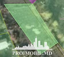 Spre vânzare se oferă teren pomicol cu autorizație de construcții, ...
