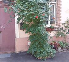 Ваш выбор на ул. Княжеская: простор и тишина