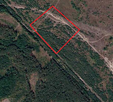 продаж ділянка під житлову забудову Вишгородський, Ясногородка, 7000 $