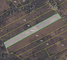 Lot grădină 8,2 ari Ivancea, Orhei