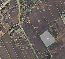 Teren pentru construcție sat Ivancea, Orhei