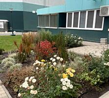 31493  Продам 1-комнатную квартиру на ...