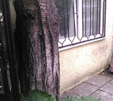 Дом на 4,5 сотках земли, Фонтанская дорога /Ванный переулок