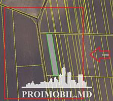 Spre vânzare se oferă teren agricol, situat înAnenii Noi, sat. ...