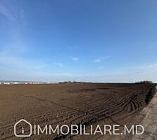 Teren agricol, sect. Botanica Vă propunem spre vânzare un teren ...