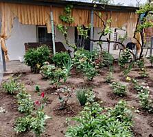 Предлагается к продаже дом в селе Светлое (старые дачи). Общая ...