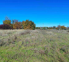 Продаётся участок 1.78 га в черте города ( Шкодова Гора)