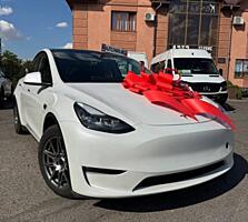 Tesla Model Y Performance