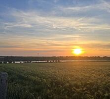 Предлагается к продаже участок в Авангарде. Свет и вода заведены, газ 