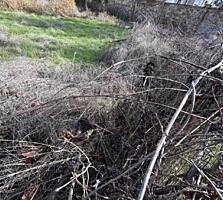 Срочно продается земельный участок у моря с видом на маяк. ...