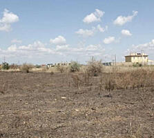 В продаже участок правильной формы 10 соток. Находится в селе ...