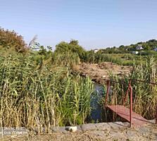 Предлагается к продаже частный дом с готовым бизнесом (действующим ...