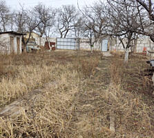 Участок в с. Великий Дальник.