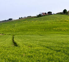 Продается земельный участок на ул. Цветочной (на Фонтане / 9 станция).